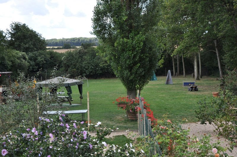 Canicat services, pension chats et chiens 2